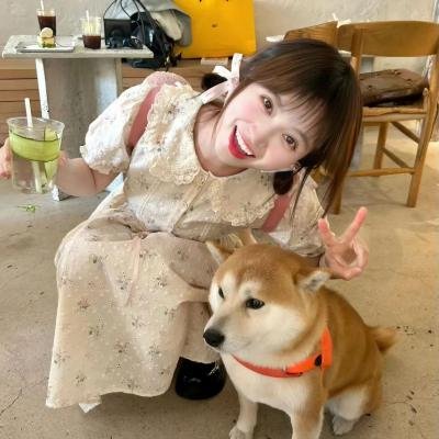 风继续吹