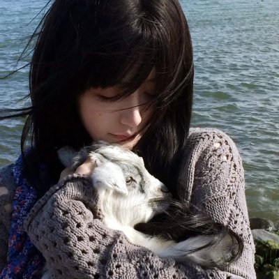 海尔兄弟