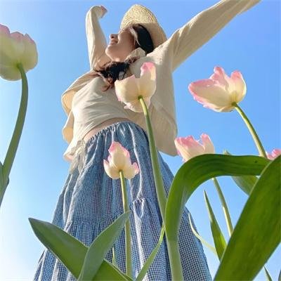 蜜蜂酿蜜